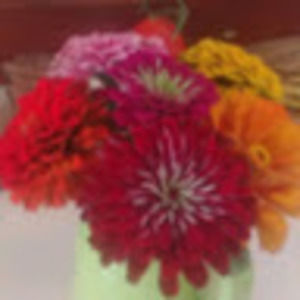 Meet your Posher, Allison